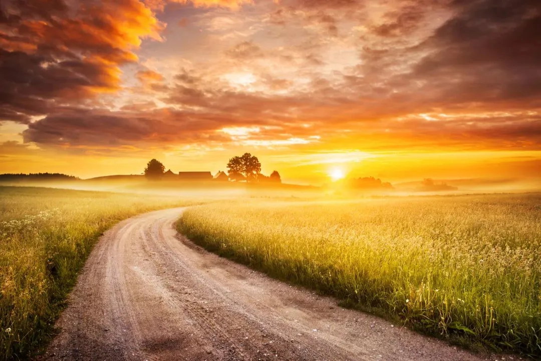 Country road through a field at sunrise