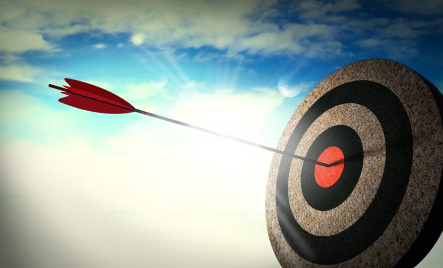 Target hit in the center, Arrow in the center of the target, successful.